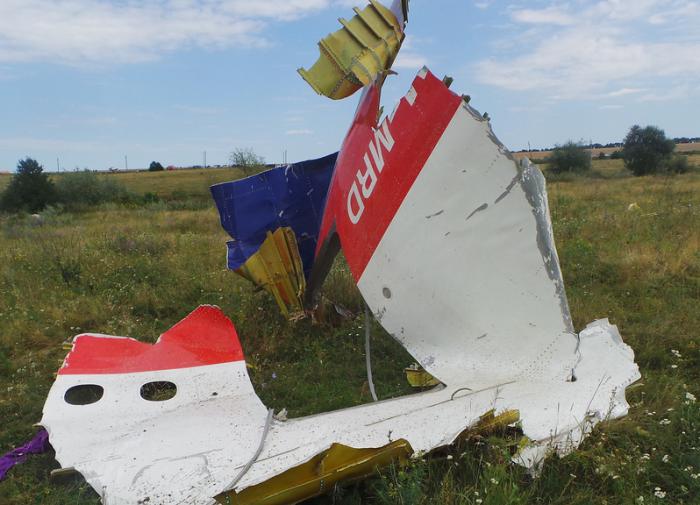 ПАСЕ приняла резолюцию по делу рейса MH17