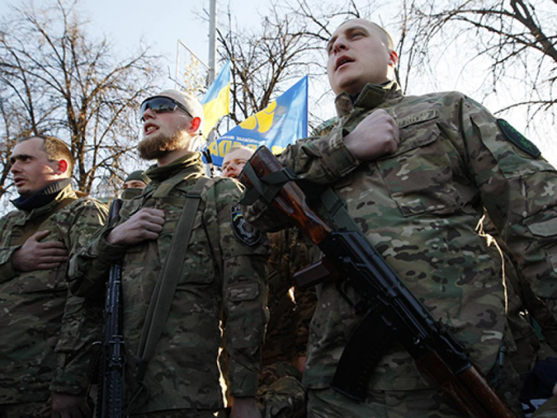 Националистка Зверобой призвала военных к перевороту на Украине