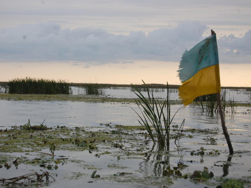 Киев в тупике: Украина превратилась в ходячего мертвеца — Guancha