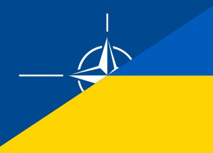 Защитный купол НАТО не спасёт Украину от дронов РФ, признали в Чехии