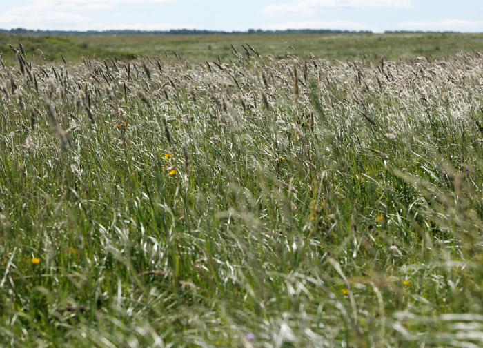 Украину провалит посевную без удобрения из России